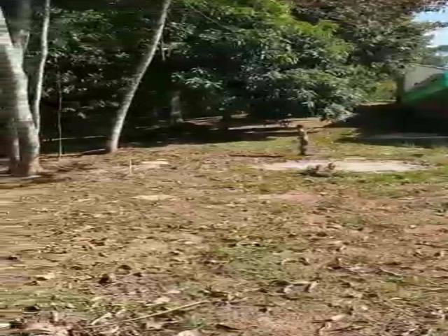 Venda em Parque Residencial Itapeti - Mogi das Cruzes