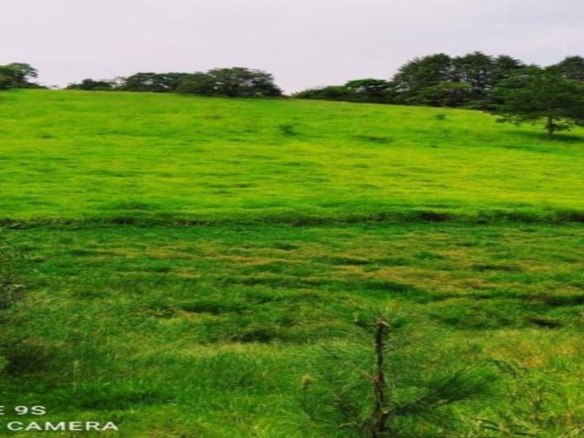 #77 - Terreno para Venda em São Paulo - SP